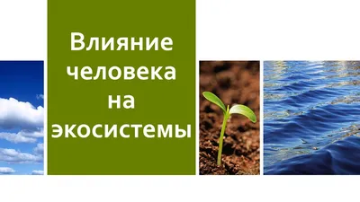 Влияние человека на природу - презентация, доклад, проект скачать
