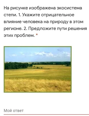 Мусорная Свалка В Лесу Влияние Человека На Природу Бытовые Отходы Люди  Незаконно Выбрасывали Мусор В Лес — стоковые фотографии и другие картинки  Аварии и катастрофы - iStock
