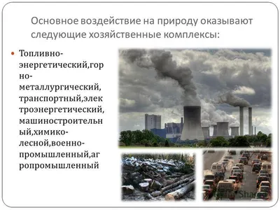 Презентация \"Влияние человека на экосистемы\" 11 класс