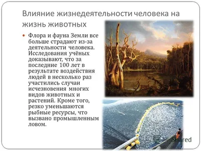 Позитивное влияние человека на природу - фото и картинки: 38 штук