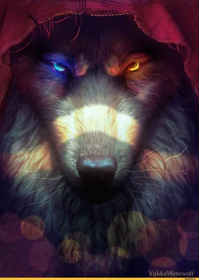 WOLF DESIGN VECTOR AVATAR FREE Stock Vector - Illustration of colors,  valentine: 175362950