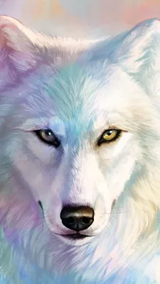 Животные, #Волки, #аватары, #картинки, #фото, #авы,  https://avatarko.ru/kartinka/32936 | Wolf dog, Wolf photos, Animals wild