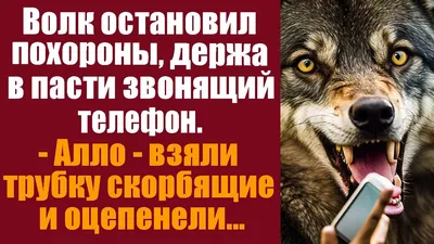 WSR-010 Волк. Подставка под телефон
