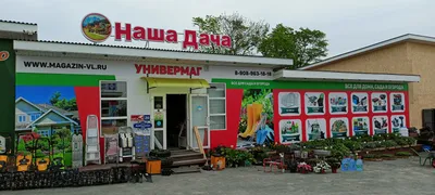Едим на дачу, там все цветет» — создано в Шедевруме