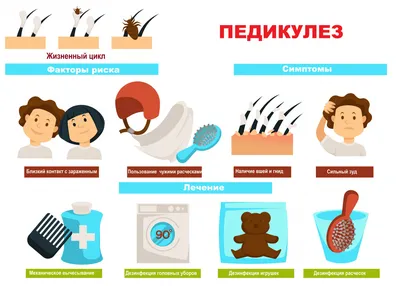 Как мы вместе с дочерью избавлялись от вшей