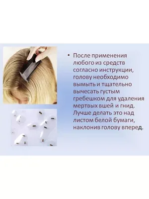 Педикулез © СШ 129