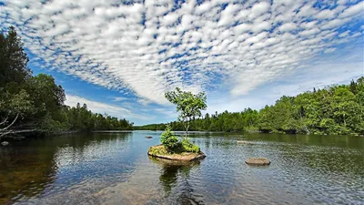 Картинки высокой четкости на рабочий стол фотографии