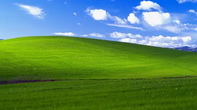 Картинки windows xp на рабочий стол фотографии