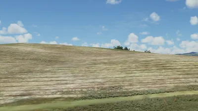 В Microsoft Flight Simulator можно найти то самое место из заставки Windows  XP - Shazoo