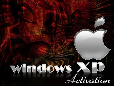 Обои windows XP для рабочего стола, старый друг скачать 1920x1080