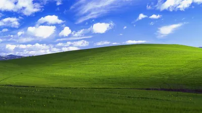 Металлический логотип windows xp на сером - обои на рабочий стол