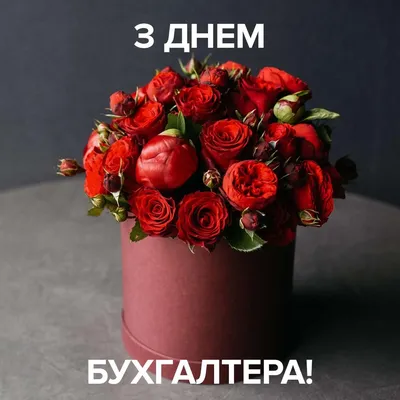 День бухгалтера: привітання та листівки - Главком