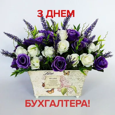 Картинки з Днем бухгалтера – привітання у картинках зі святом