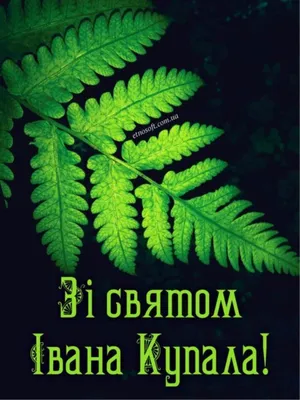 Привітання із Днем Івана Купала 2023 — картинки та щирі побажання з нагоди  свята у віршах