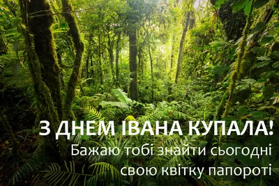 Картинки з Івана Купала 2021: листівки для привітань, фото – Люкс ФМ