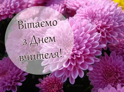Pin by Галя on З днем вчителя | Greetings, Humor