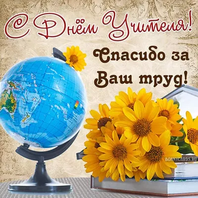 Вітальний Плакат для вчителя (без фото) Друк + оформлення в рамку А4 Білий:  продаж, ціна у Києві. Календарі та плакати від \"Товари для Свята -  lenty.kiev.ua\" - 1084643326