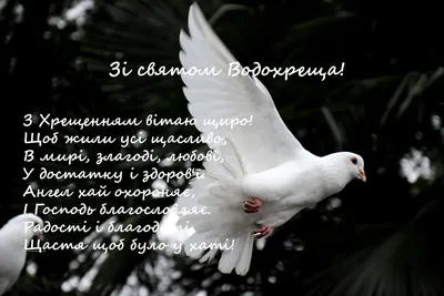 Привітання зі святом Водохреща 2024: вірші, проза, картинки та листівки,  яке сьогодні свято / NV