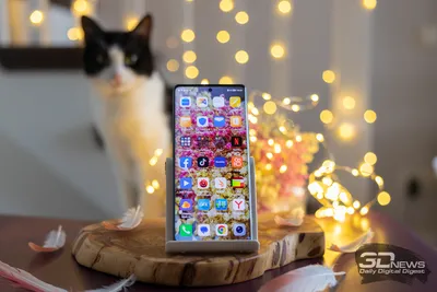 Так выглядит флагманский iPhone 14 Pro Max с выгоревшим экраном. Это  происходит из-за функции Always