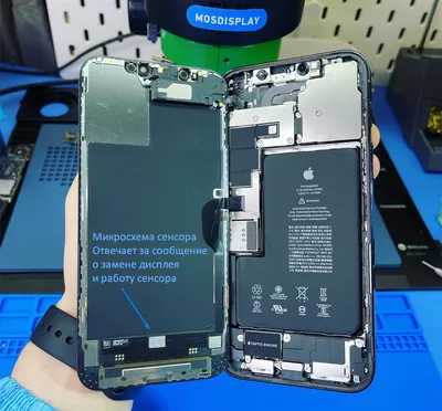 Замена дисплея iPhone 14 Plus в Москве за 9300 руб