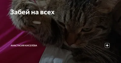 Просто будь СОБОЙ! Забей на перфекционизм и преврати изъяны в достоинства,  Найт Сара . Книги, о которых говорят , Эксмо , 9785041820053 2023г. 344,00р.