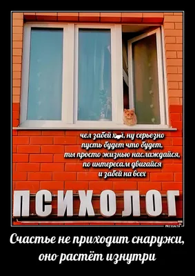 Кружка Чё \"Забей на все и просто поспи\", 330 мл - купить по доступным ценам  в интернет-магазине OZON (1312242352)
