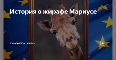 Обои с жирафами - 66 фото