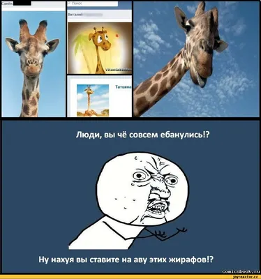 Шаблон жирафа для рисования - четкие картинки