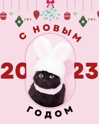 Новый год Дракона 2024 Шапка новогодняя для животных собак и кошек