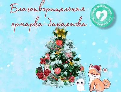 Сюрприз или обуза? Стоит ли дарить животных на Новый год | Минская правда |  МЛЫН.BY | Дзен