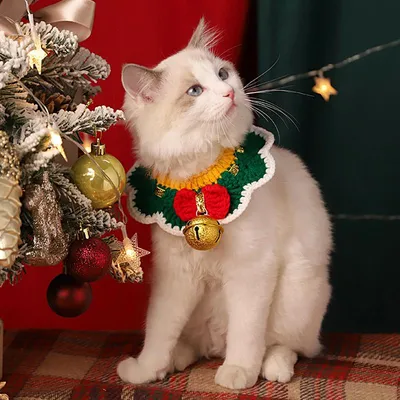 ❋КУКУТИКИ - 🎄НОВЫЙ ГОД 2017 -🎅 Веселая развивающая песня мультфильм для  детей малышей про животных - YouTube