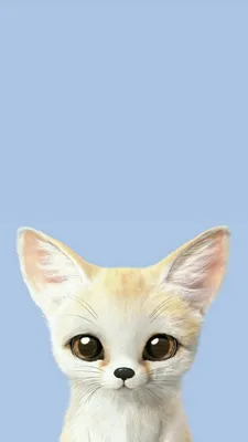обой фон милые животное | Cute animal drawings, Animated animals, Cute cats