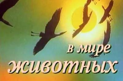 Музыка и заставка из \"В мире животных\"...