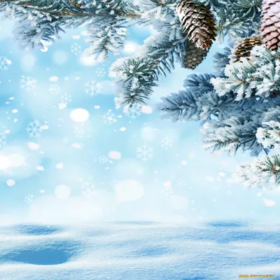 Обои Природа Зима, обои для рабочего стола, фотографии природа, зима,  снежинки, снег, елка, лес, nature, snow, winter Обои для рабочего стола,  скачать обои картинки заставки на рабочий стол.