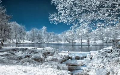 Обои Winter Природа Зима, обои для рабочего стола, фотографии winter,  природа, зима, ледяные, иглы, проволока, снег, забор Обои для рабочего  стола, скачать обои картинки заставки на рабочий стол.