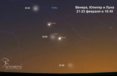 Открытка поздравительная, звезды С 23 Февраля ( 10 шт в упаковке) арт.  1280811 - купить в Москве оптом и в розницу в интернет-магазине Deloks