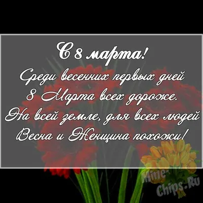 Что подарить на 8 Марта девушке, маме, коллеге и не только - AmurMedia.ru