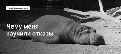 Фотография Катерины Мезиной: наслаждение для глаз