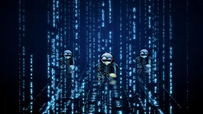 Шантаж с помощью краденных паролей | Mr.Robot | Дзен
