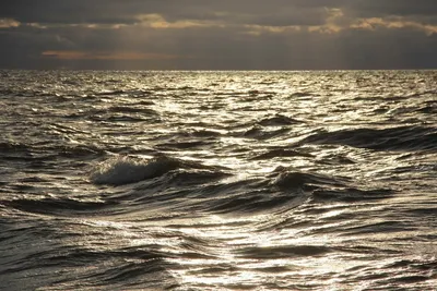 О, море нежное моё, Балтийское - ВОДА РОССИИ