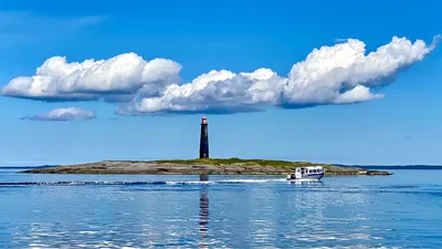 В Анапе в июне зацвело море, море в Анапе, отели Анапы, отдых в Анапе - 9  июня 2022 - 93.ru
