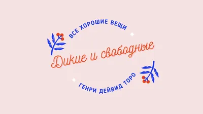 Лучшие фото (100 000+) по запросу «Обои Для Рабочего Стола» · Скачивайте  совершенно бесплатно · Стоковые фото Pexels