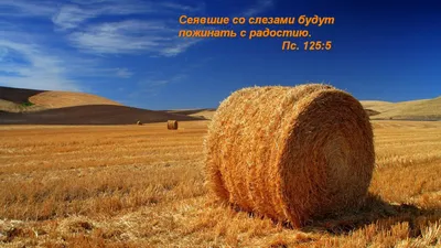 ХРИСТИАНСКИЕ обои, фото, картинки.Христианские обои на рабочий стол и фото  Христианство, картинки Христианские