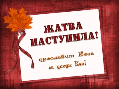 История праздника Жатвы