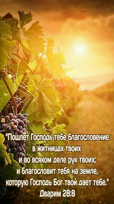 С Праздником Жатвы Христианские Картинки – Telegraph