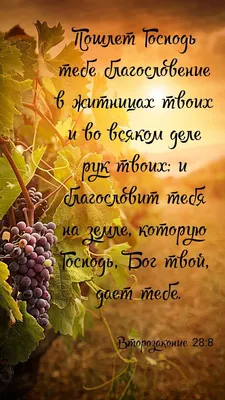 Пин от пользователя God loves you на доске христианские открытки |  Христианские цитаты, Библейские стихи, Идеи для поздравительной открытки