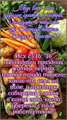 Картинки день благодарения, жатва, христианские обои, библия - обои  1366x768, картинка №199743