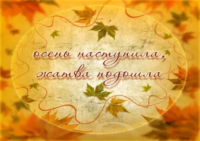 Жатва Божия поспела, чтоб Любовь Христа взыскать! (Светлана Камаскина) /  Стихи.ру