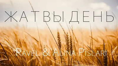Нива поспела к жатвае - Обои \"Days4God\" - Христианские обои, картинки,  фотографии - Дни для Бога