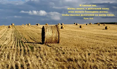 Праздник Жатва отметили христиане веры евангельской | Ганцавіцкі час